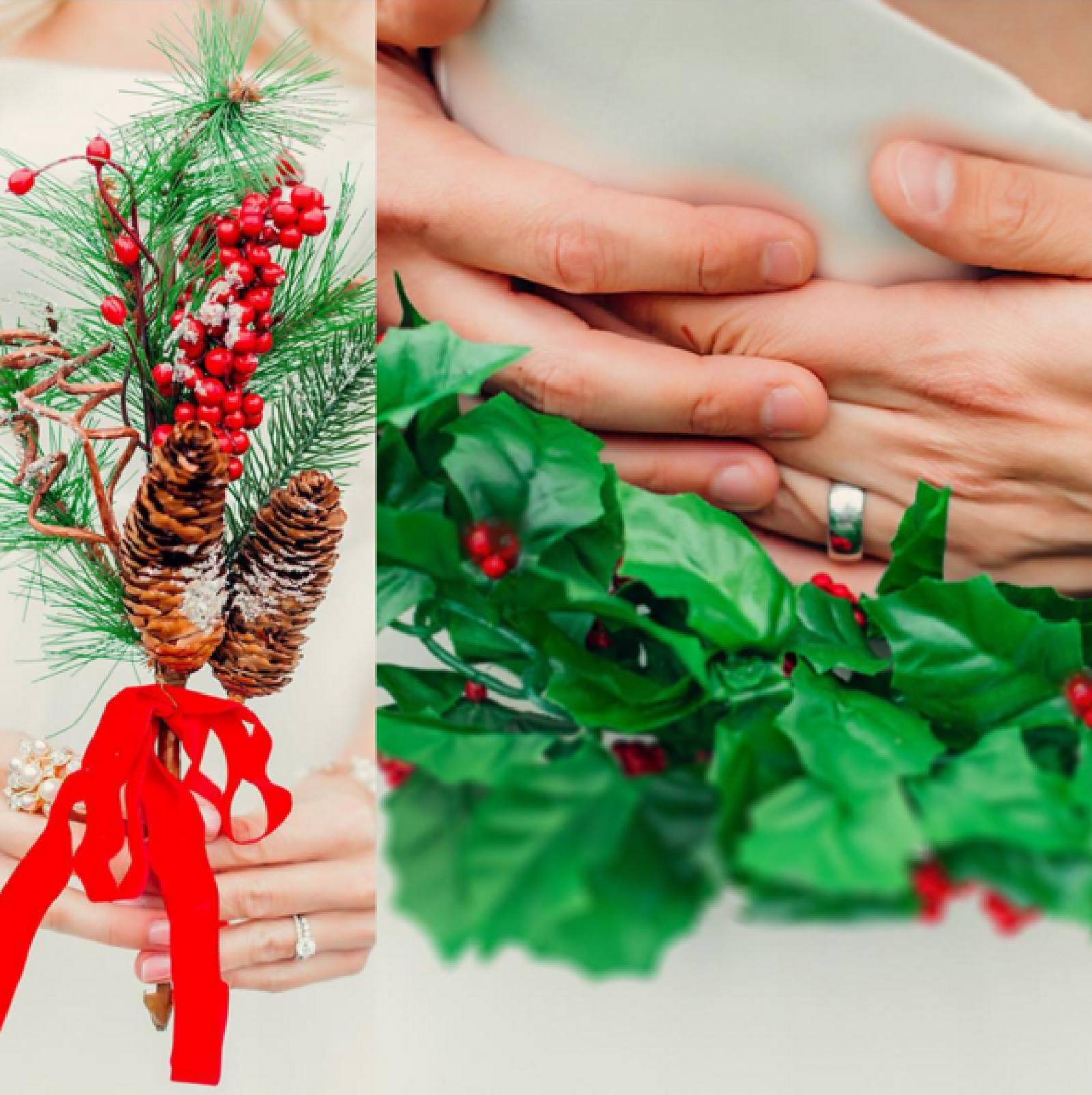 holiday holly