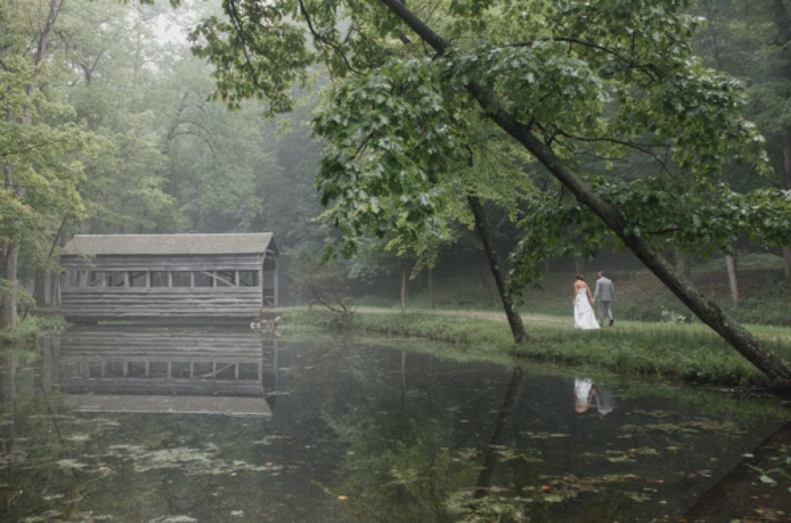foggy outdoors