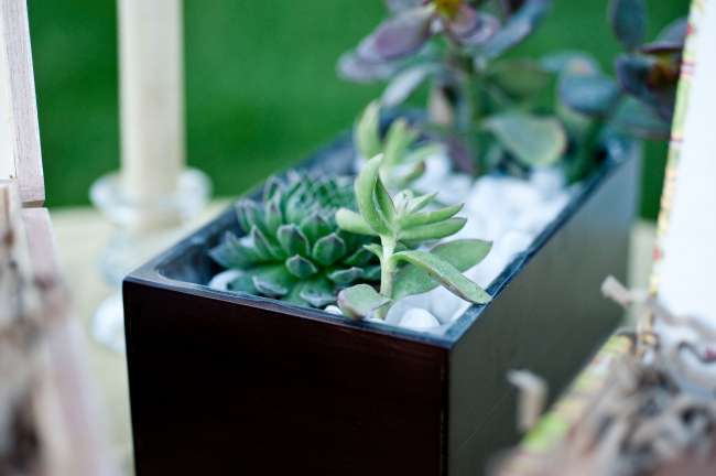Colorful Outdoor Reception Table
