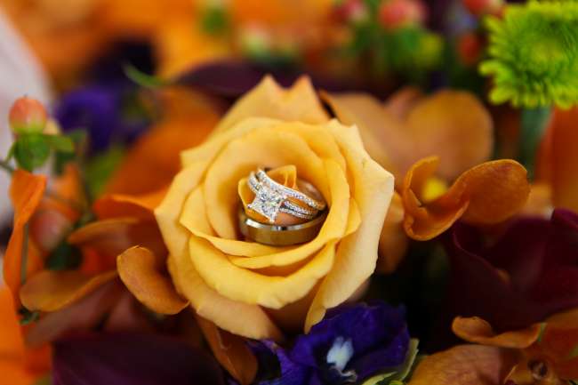 Ring Shot