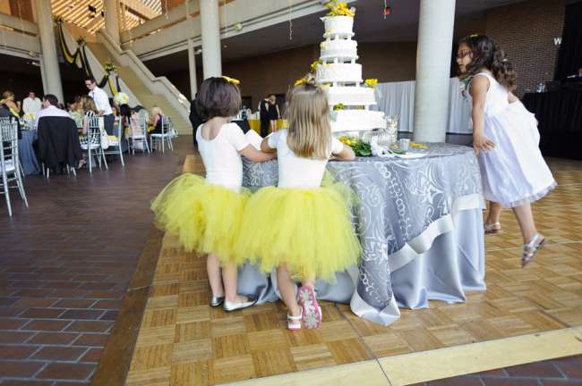 Tutus and Cake