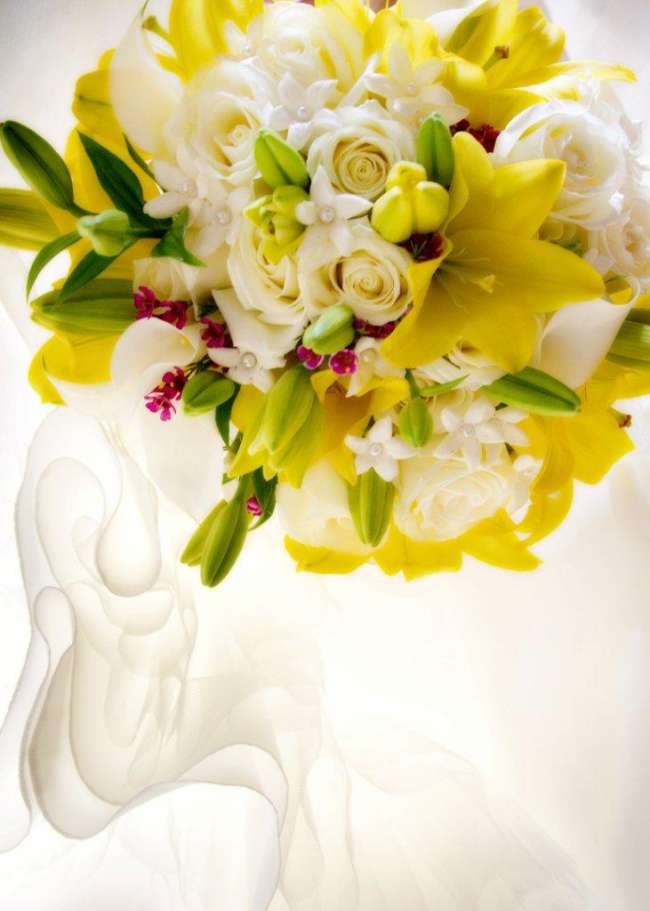Fabulous Flowers
