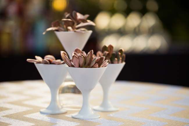 Succulent Centerpieces