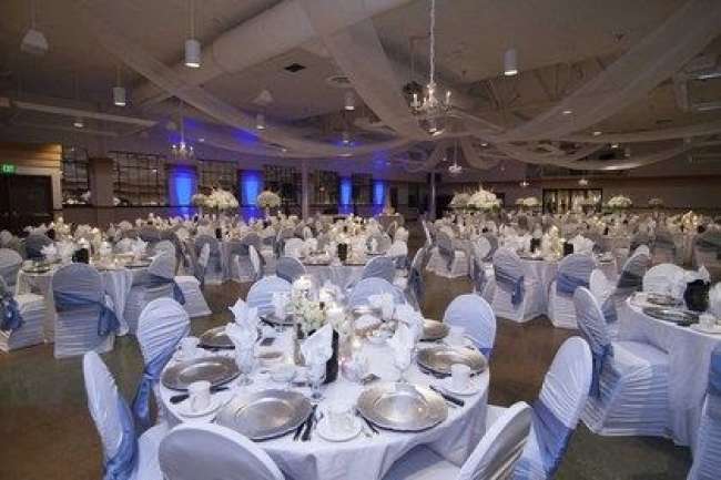 White & Gray Reception