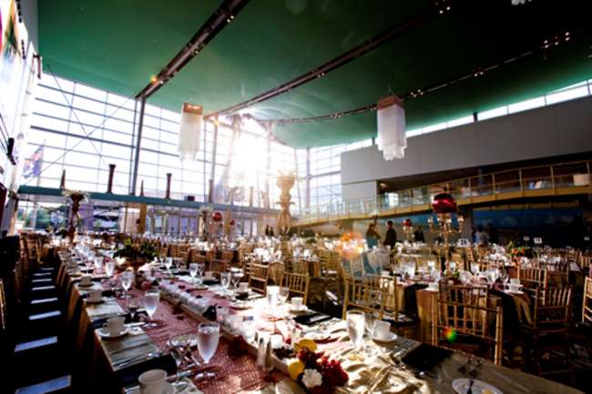 Reception with long banquet tables