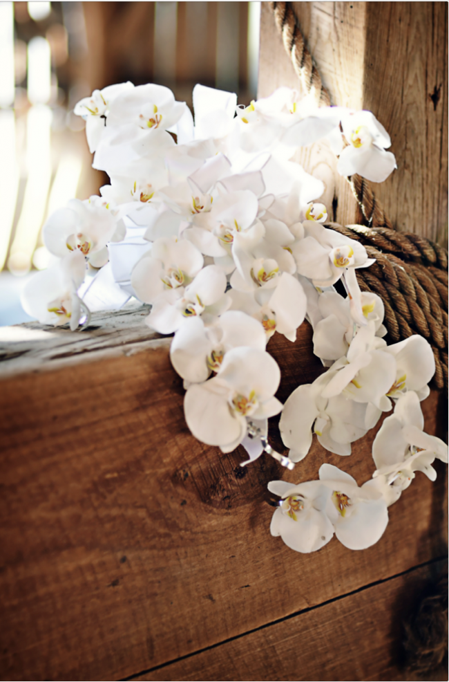 White orchids