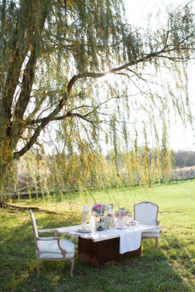 Tablescape beneath willow tree
