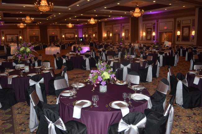 Ballroom Beauty